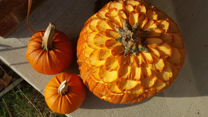 20151026_161428_edited