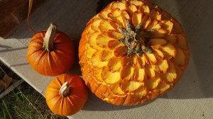 20151026_161428_edited